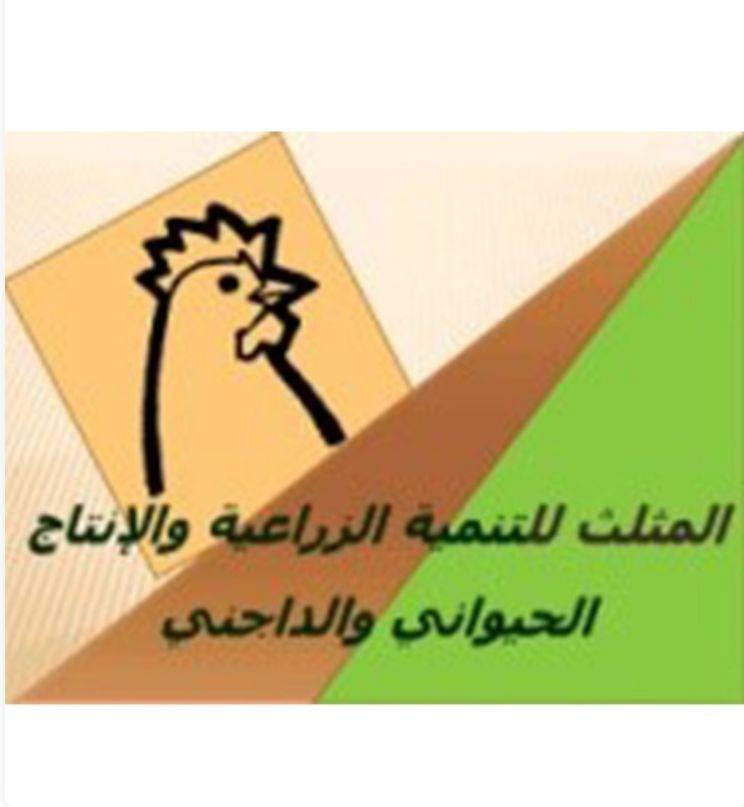 المثلث